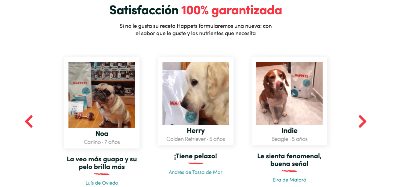 Happets Summa Branding